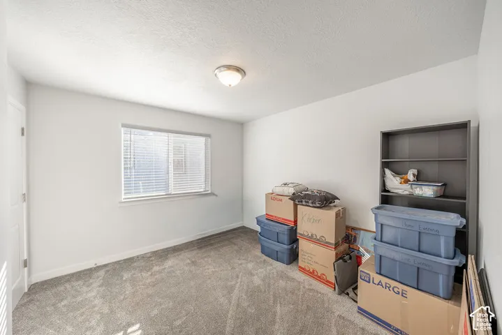 Neutral-toned interior space featuring carpeted flooring, a flush-mount ceiling light fixture, and a single-hung window with horizontal blinds