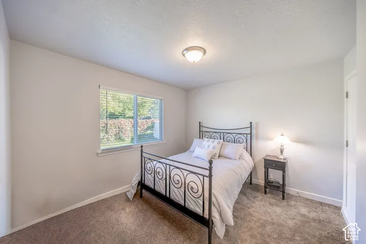 Neutral interior featuring carpeting, a single-pane window with white trim, and a flush-mount ceiling light fixture