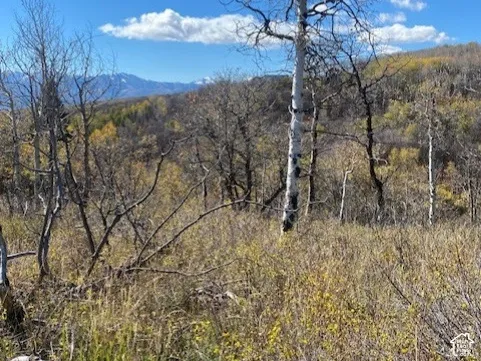Expansive lot featuring mature aspen trees, native brush, and a mountainous backdrop