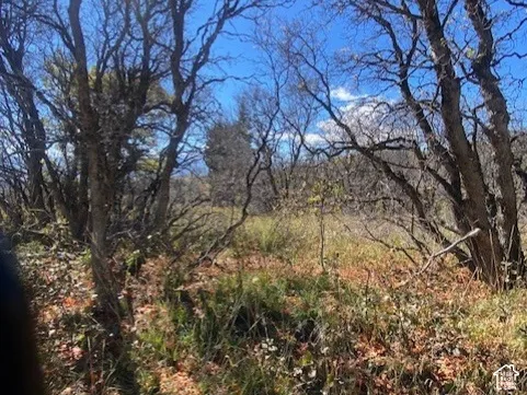 Natural lot featuring established deciduous trees and native ground cover