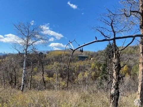 Expansive natural landscape featuring native grasses, mature deciduous trees, and mountain scenery