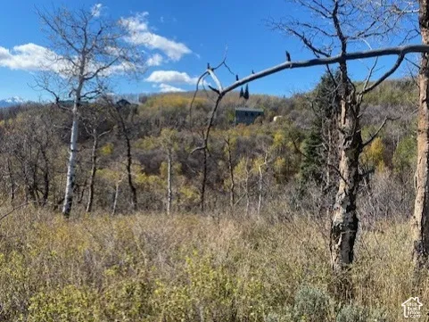 Expansive natural landscape featuring native grasses, mature deciduous trees, and mountain scenery