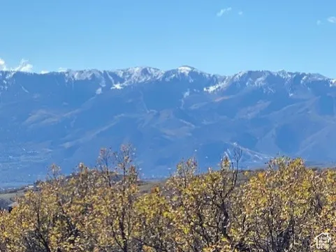 Panoramic mountain backdrop featuring snow-capped peaks and mature deciduous trees