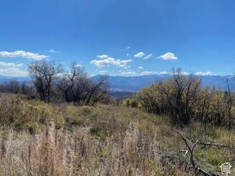Expansive natural landscape featuring native scrub brush, mature trees, and mountainous terrain