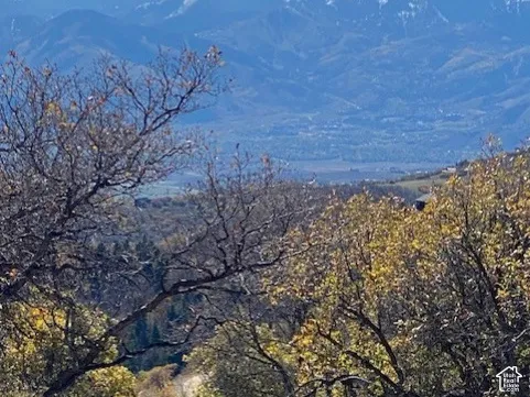 Expansive mountain scenery featuring snow-capped peaks and valley terrain with mature trees and native shrubbery