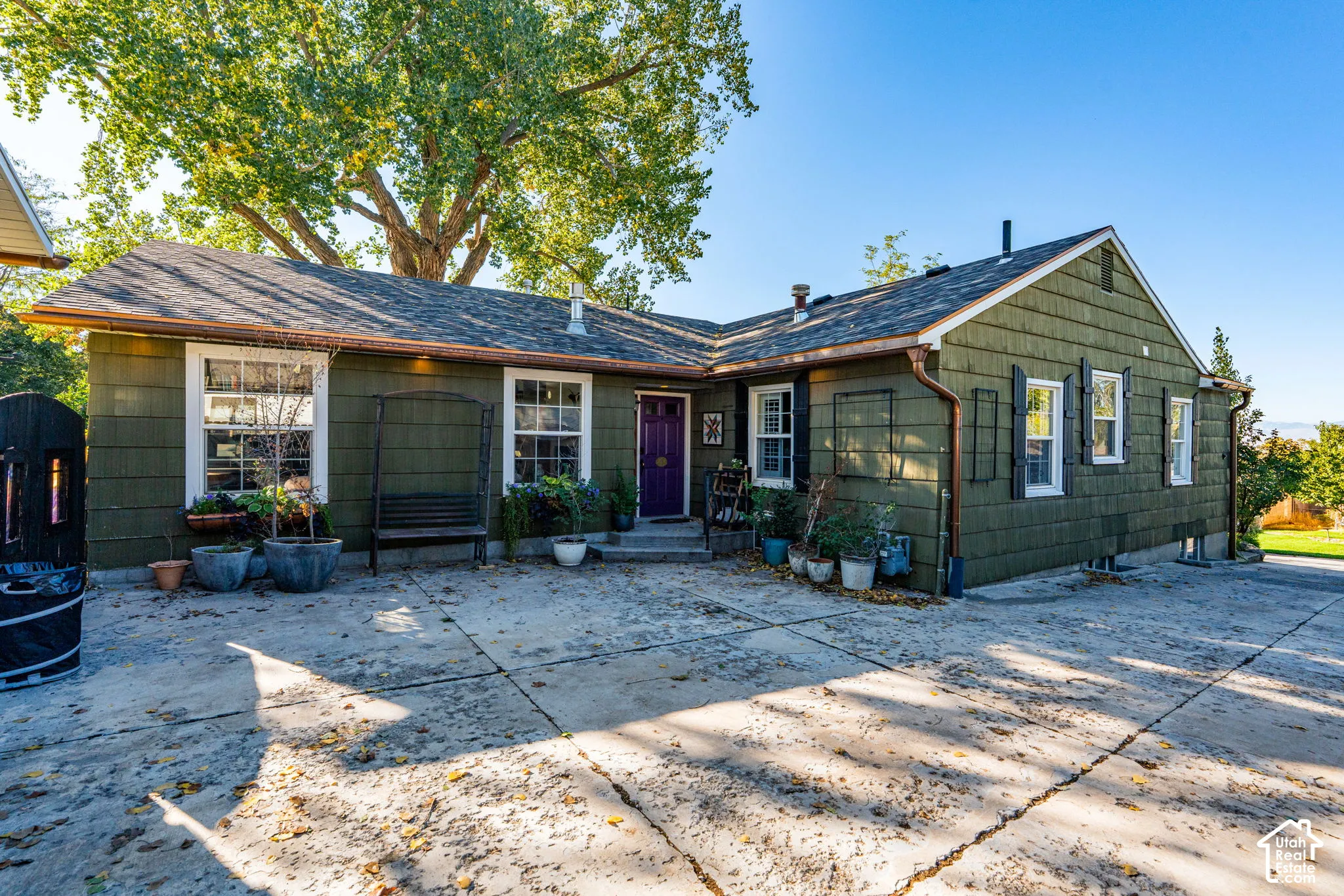Exterior featuring olive green shingle siding, a dark-toned shingled roof, multipane windows with exterior shutters, a concrete paved entrance, and mature tree canopy