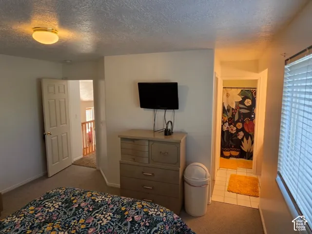 Spacious secondary bedroom featuring neutral wall finishes, wood-finish flooring, and abundant natural light from expansive window treatments