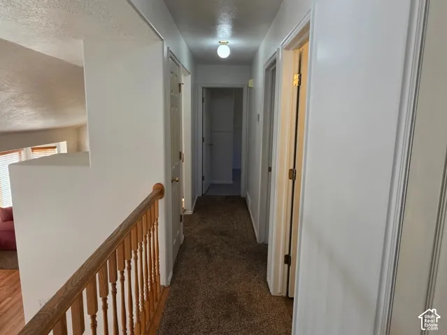 Hallway featuring carpet flooring, white painted walls, and overhead lighting