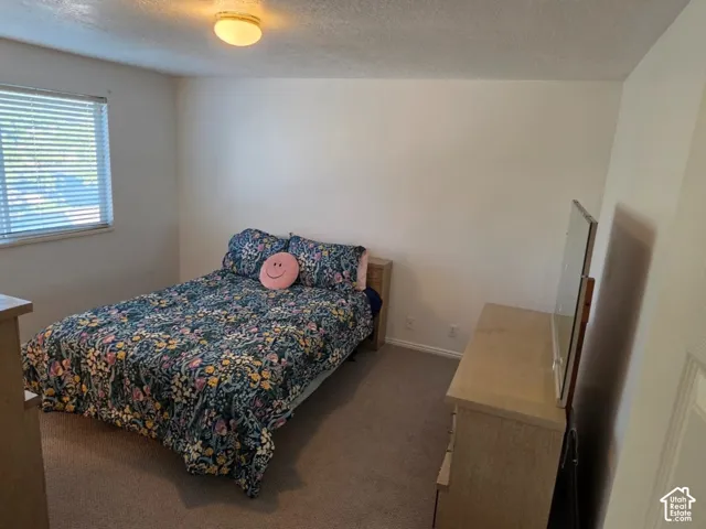Comfortable bedroom with carpeted flooring, abundant natural light from a window with blinds, recessed ceiling lighting, and a white six-panel closet door
