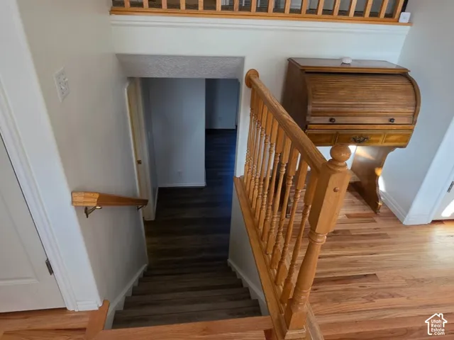 Wood-finish flooring on main level, light-toned wooden staircase, white interior doors with brass-finish hardware, and a white interior wall finish