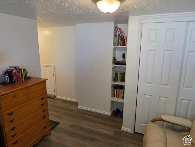 Recessed lighting, wood-finish flooring, built-in shelving, white sliding closet doors
