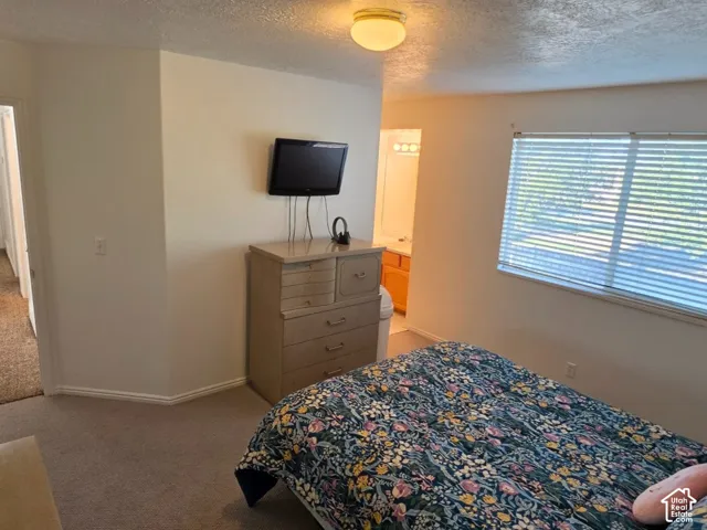 Carpeted flooring, window with blinds, ceiling-mounted light fixture, and a built-in wall-mounted television