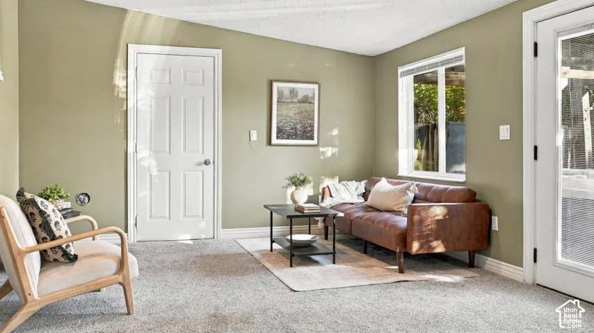 Neutral-toned interior featuring wall-to-wall carpeting, a multi-paneled door, and a single-hung window with a slim profile frame