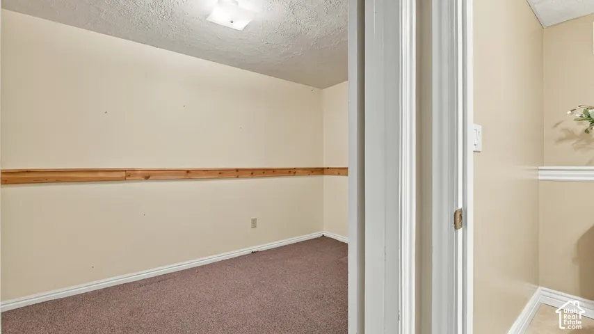 Neutral wall color featuring natural wood-finish chair rail molding, carpeted flooring, and a ceiling-mounted light fixture