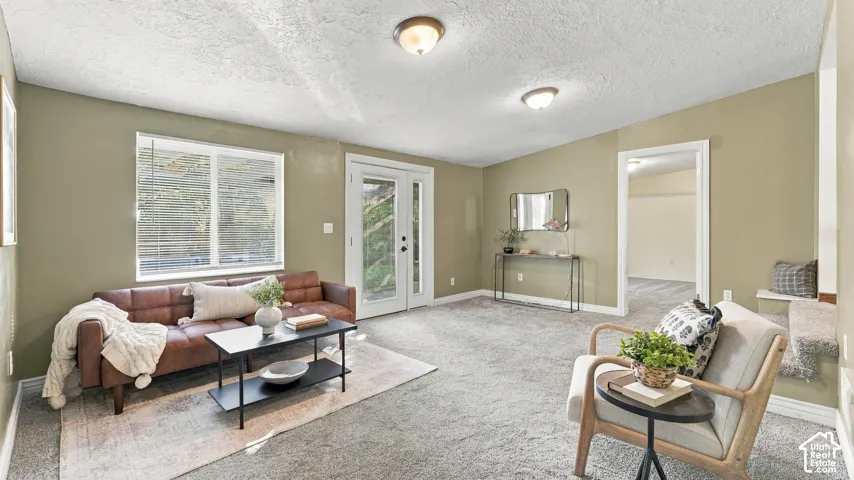 Neutral-toned interior space featuring carpeted flooring, two flush-mount ceiling light fixtures, a multi-pane sliding glass door with side-light, and a large horizontal window