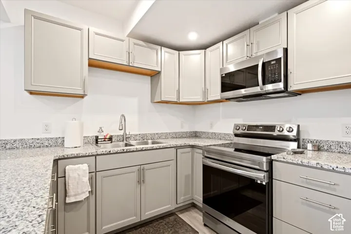 Kitchen featuring light gray shaker-style cabinetry, speckled stone countertops, stainless steel microwave, stainless steel electric range, and a dual-basin stainless steel sink with an arched pull-down faucet