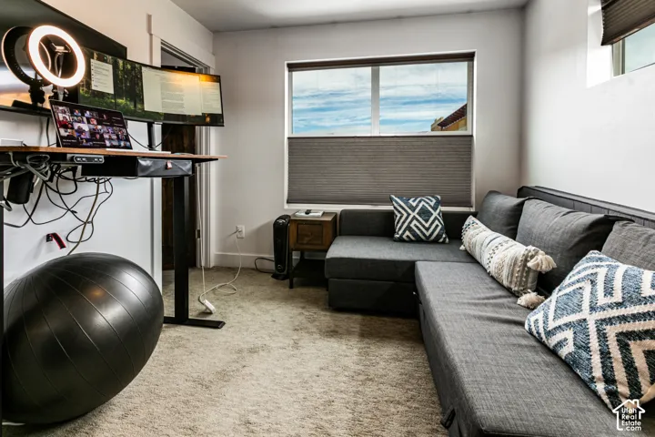 Carpeted room featuring a window with cellular shades and neutral wall finishes