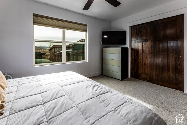 Bedroom featuring large multi-pane windows, dark wood sliding closet doors, neutral wall-to-wall carpeting, and a ceiling-mounted fan