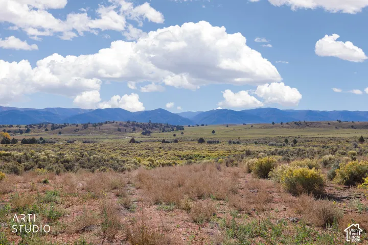 Expansive acreage featuring native high-desert vegetation and prominent mountain range backdrop