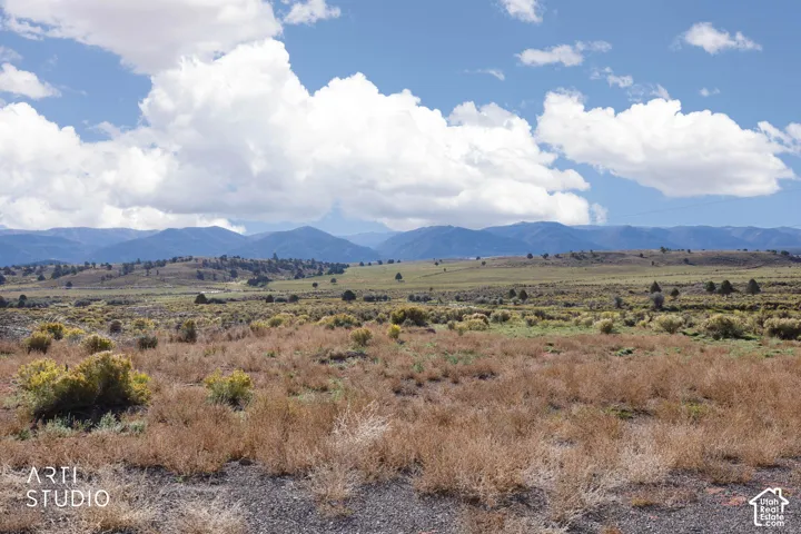 Expansive acreage featuring rugged native vegetation and prominent mountain range backdrop