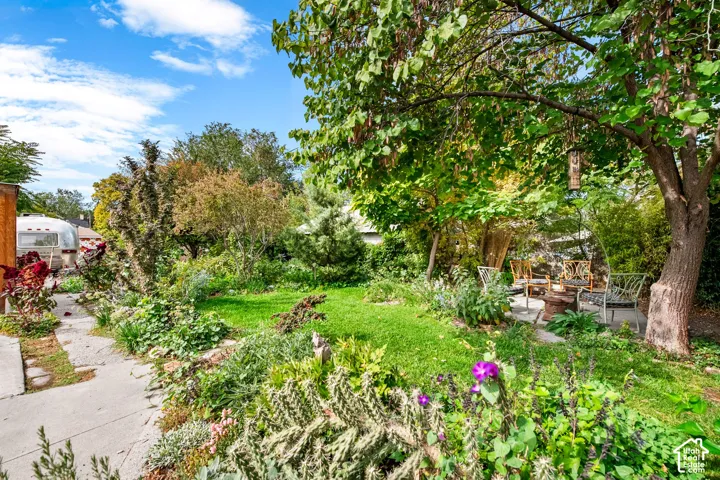 Duplex Backyard
