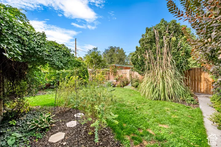 Main House Backyard