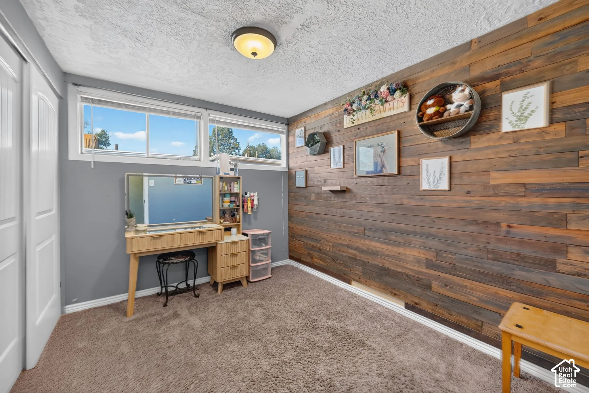 Room featuring an accent wall with horizontal wood-finish cladding, neutral carpeting, dual sliding closet doors, and multiple windows providing natural light