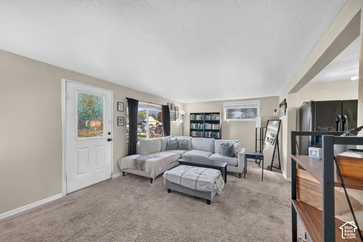 Living area featuring neutral wall paint, textured ceiling, carpeted flooring, and a glass-paneled exterior door