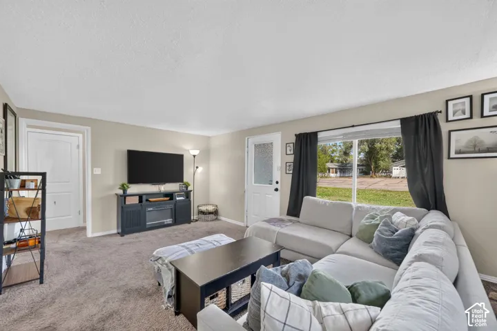 Living area featuring neutral wall paint, carpeting, a multi-pane window with natural light, and a white six-panel door