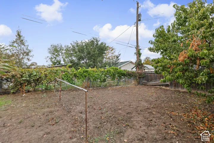 Backyard area featuring established grapevines, mature trees, and perimeter fencing