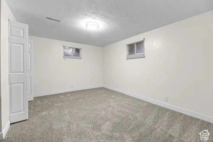 Neutral-toned wall-to-wall carpeting, flush-mount ceiling lighting, and double-panel closet doors