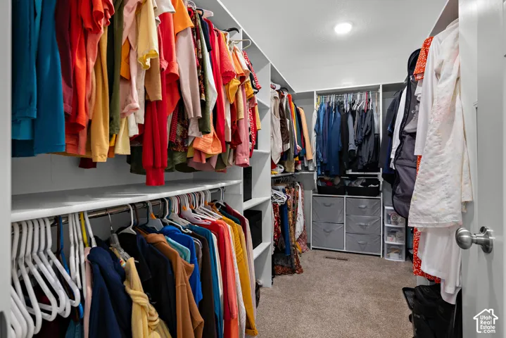 Walk-in closet featuring floor-to-ceiling white shelving, multiple hanging rods, and neutral carpeting