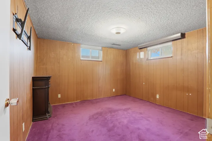 Interior space featuring wood-paneled walls, carpeted flooring, two rectangular windows, and a textured ceiling with a central dome light fixture