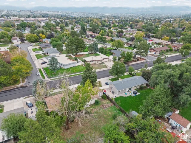 Aerial perspective of a residential property featuring an expansive lawn, mature tree canopy, concrete driveway, and mountain backdrop