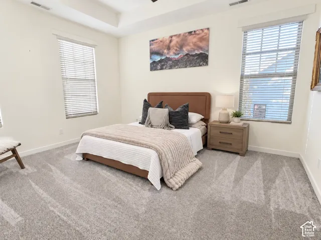 Neutral-toned room featuring a tray ceiling, wall-to-wall carpeting, and multiple windows with horizontal blinds