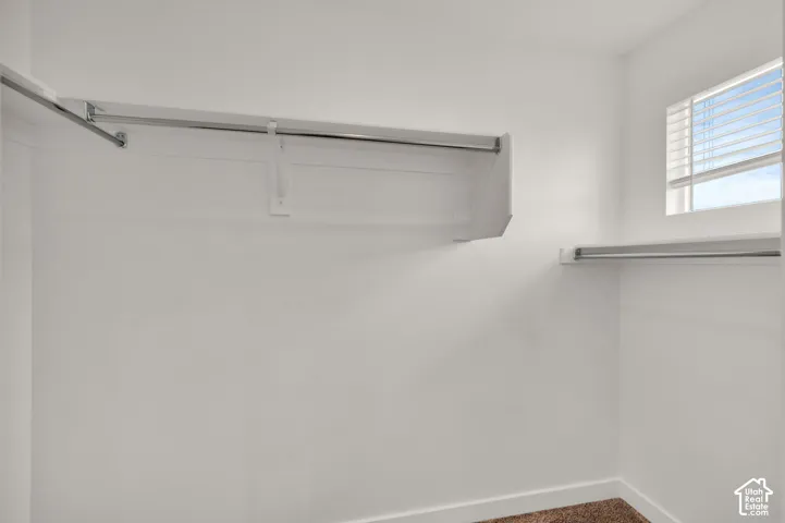 Storage area featuring white walls, carpeted flooring, metal hanging rods, and a window with horizontal blinds
