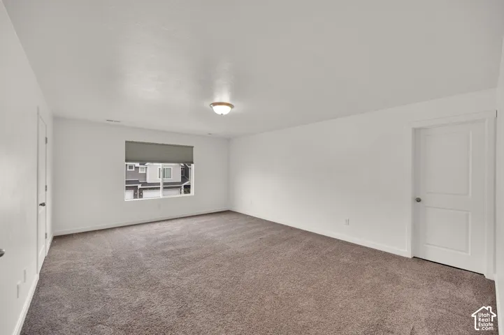 Neutral-toned interior space featuring plush carpeting, smooth wall finishes, a single-light ceiling fixture, and a white two-panel interior door