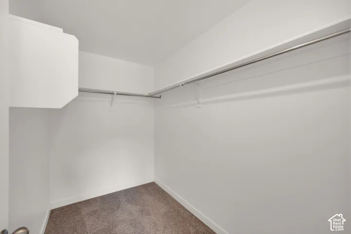 Walk-in closet featuring wall-to-wall carpeting, white shelving, and dual-level metal clothing rods