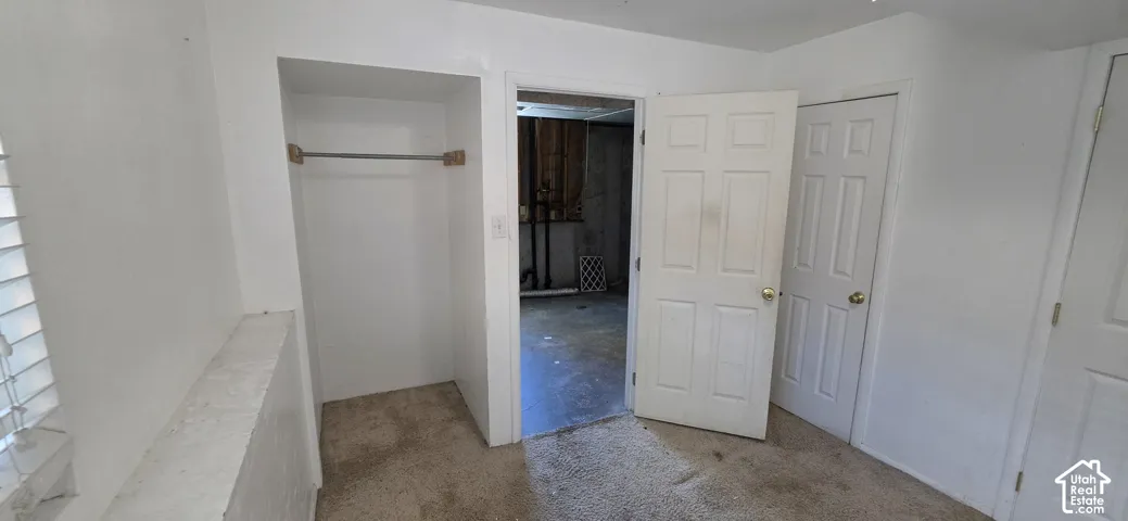 Interior space featuring white walls, carpeted flooring, a built-in closet with a metal hanging rod, and two interior panel doors