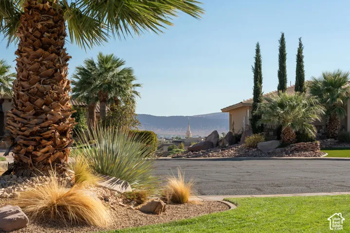 Landscaped front yard with mature palm trees, various desert plantings, and decorative rock elements