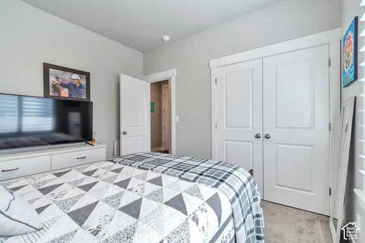 Neutral wall paint, plush carpeting, white interior doors, and double-door closet with paneled detailing