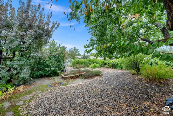 Outdoor space featuring gravel ground cover, mature trees, tiered stone planter, and natural stone pathways