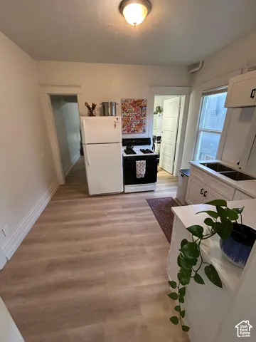 Kitchen featuring light-toned wood-finish flooring, white cabinetry, a dual-basin sink, and a flush-mount ceiling light fixture