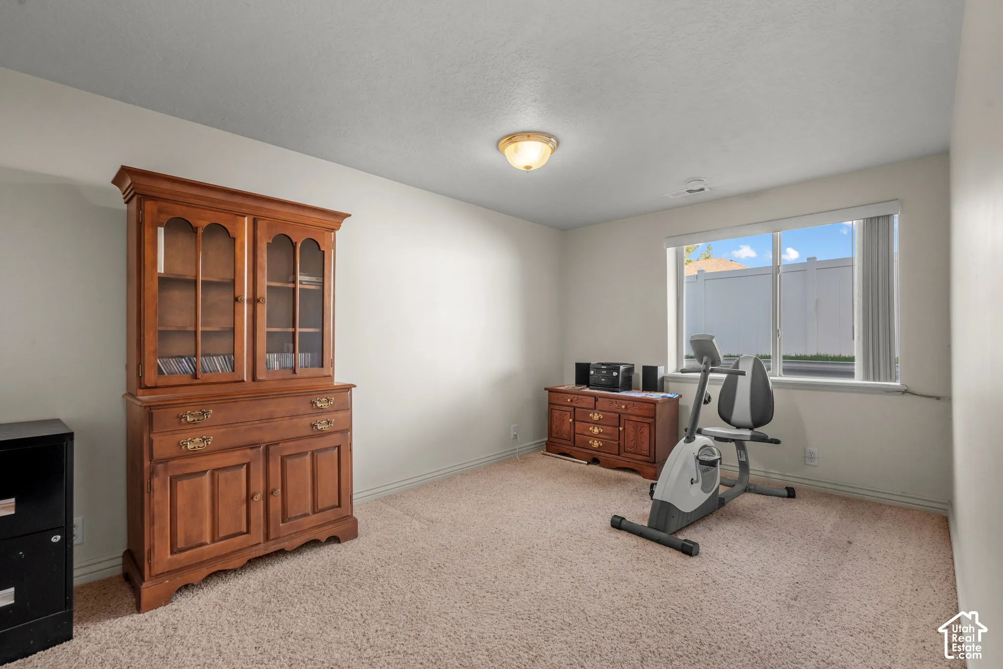 Neutral-toned interior space featuring light carpeting, a single-pane window, and a centered flush-mount ceiling light fixture