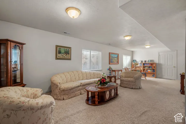 Spacious interior featuring wall-to-wall carpeting, multiple flush-mount ceiling light fixtures, large windows with vertical blinds, and a paneled interior door