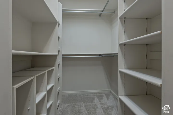 Built-in shelving, hanging rods, carpet flooring