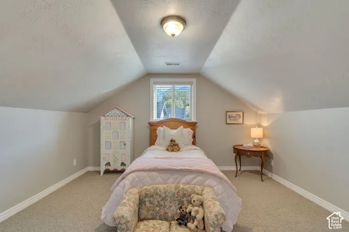 Vaulted ceiling featuring a central flush-mount light fixture and a single window with horizontal blinds