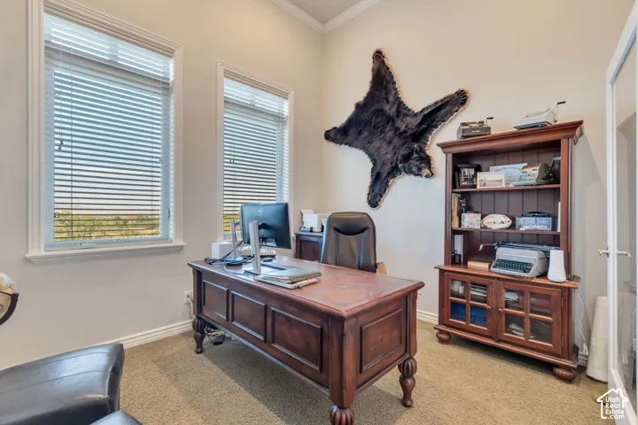 Room featuring high ceilings, two large windows with horizontal blinds, neutral wall coloring, and textured carpeting