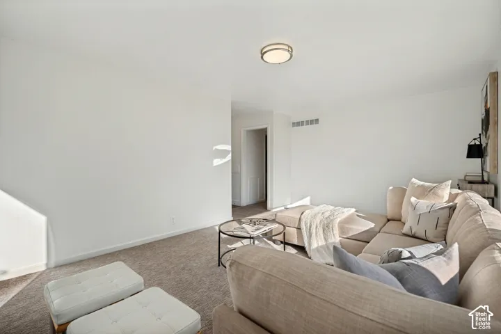 Neutral-toned carpeting and flush-mount ceiling lighting