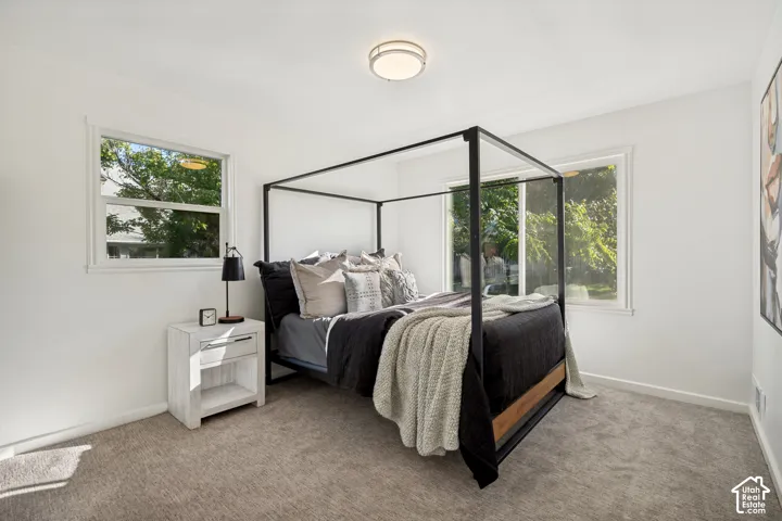 Neutral-toned carpet, dual windows with white casing, and flush-mount ceiling light fixture